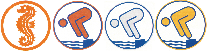 http://www.wasserwacht-bayern.de/rosenheim/wasserburg/pictures/logos/jugendschwimmpass.png